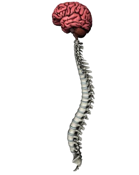 Kidney Stone Treatment