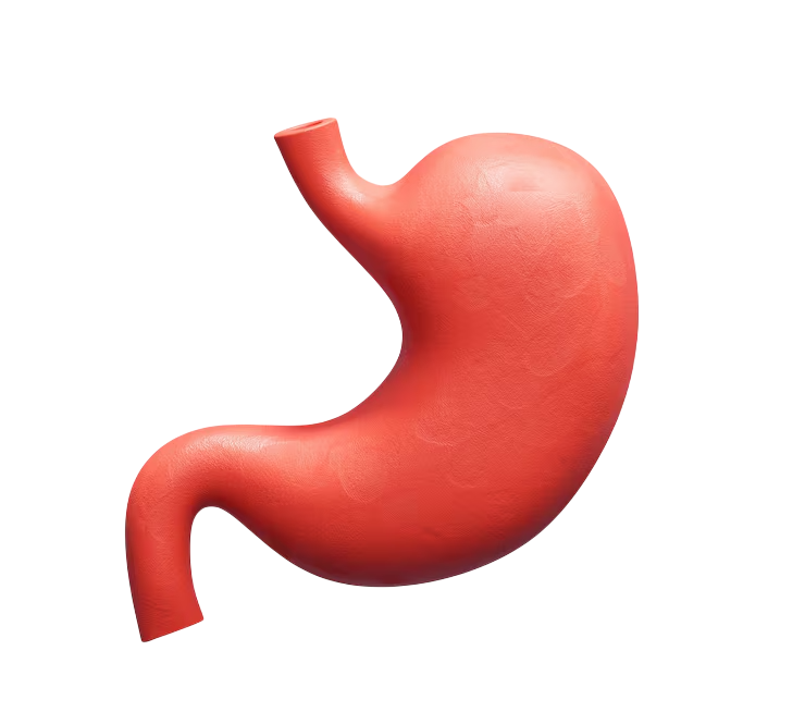 Kidney Stone Treatment